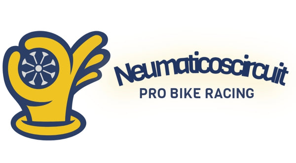 Neumaticoscircuit